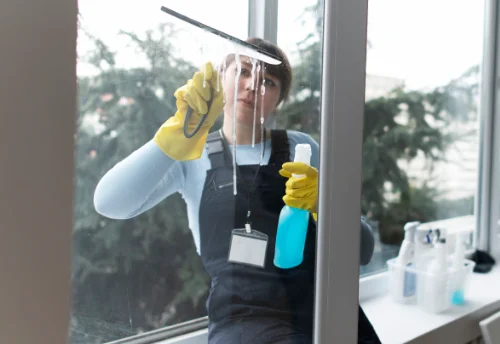 Nettoyage de vitres intérieures et extérieures à Trouillas